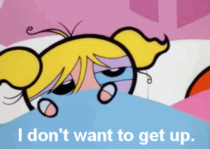 Bed Bugs